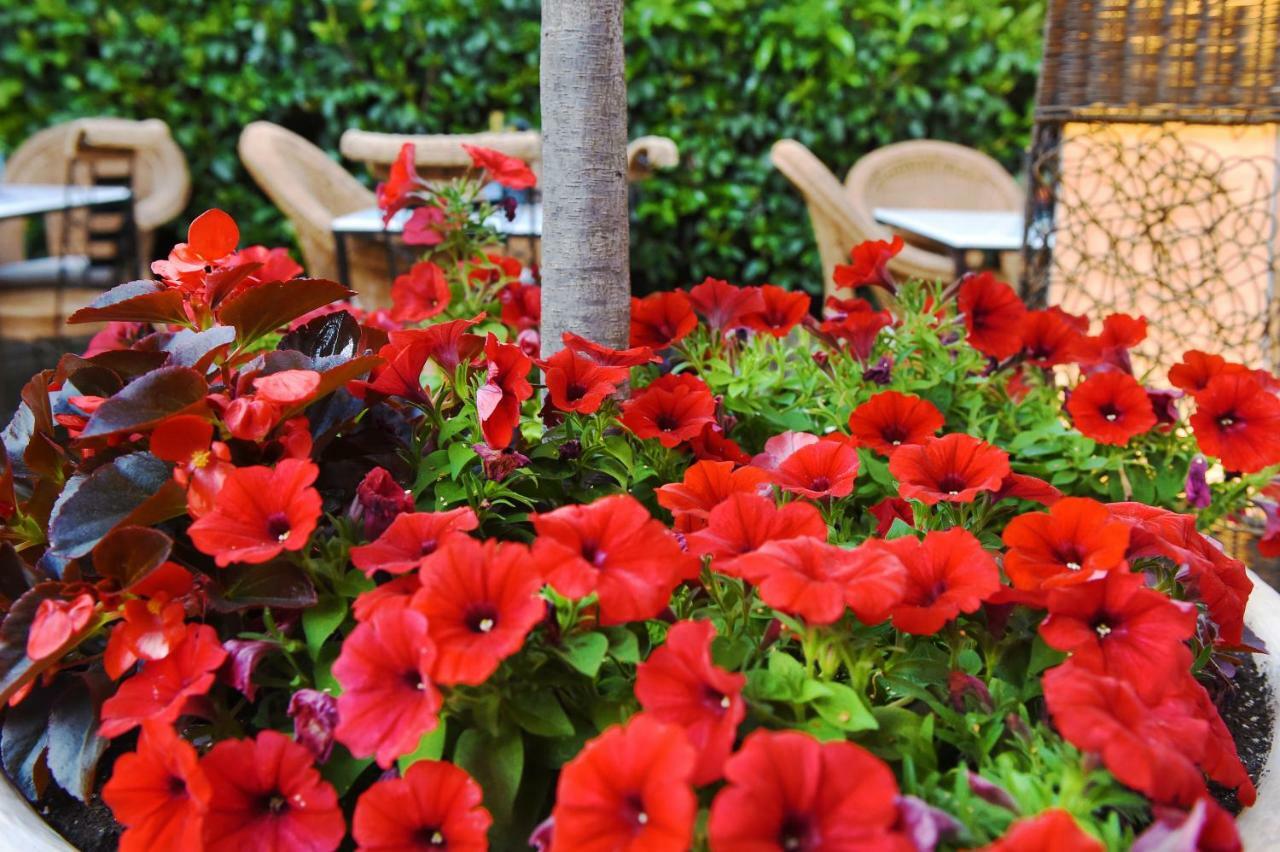 Armata Boutique Hotel Spetses Town Luaran gambar